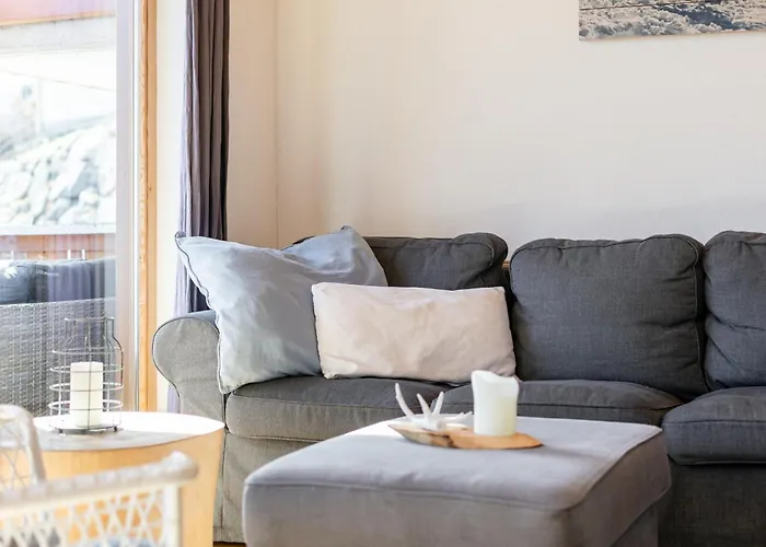 شاليه Hoog Hout هيباخ